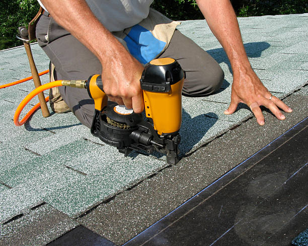 Best Roof Gutter Cleaning  in New Burlington, OH